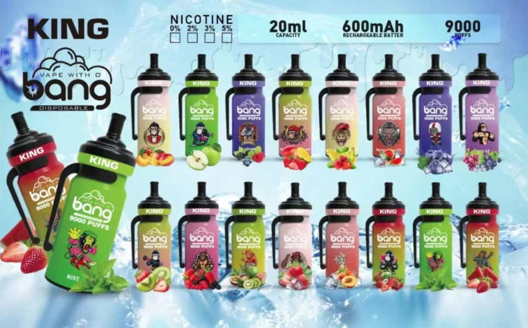 Fruit Flavors E-Cigarette Big Disposable Vape with 9000puffs 650mAh Battery Vape